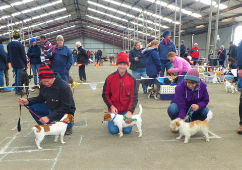 Hamilton Jack Russell Terrier And Hunting Dog Show - Stayed 0