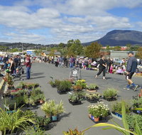 Hobart Showground Sunday Market - Weekly - Stayed