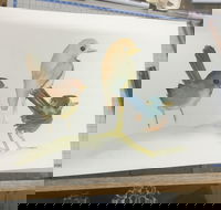 Ink  Watercolour Wash Illustration Workshop - Stayed