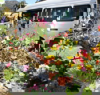 Johns River Country Markets - Stayed