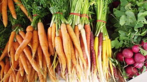Joondalup Growers Market - Stays Accommodation 0