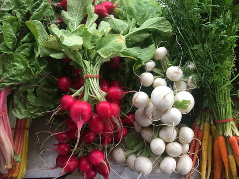 Joondalup Growers Market - Stays Accommodation 1