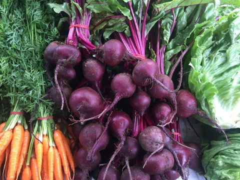 Joondalup Growers Market - Stays Accommodation 2