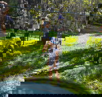 July 2020 Holidays- Forest Smores  Explore - Stayed