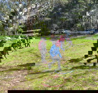 July 2020 Holidays- Forest Adventures Treasure Hunt - Stayed