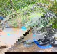 Jungle Love Festival - Stayed