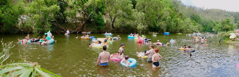 Jungle Love Festival - Stayed 1