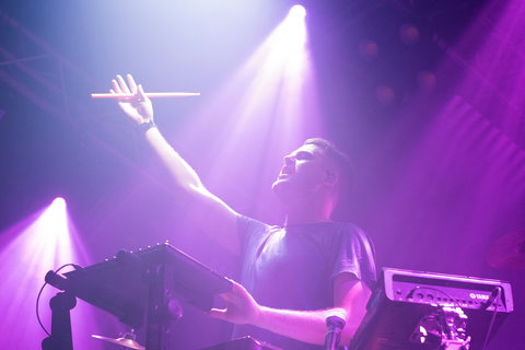 Jungle Love Festival - Stayed 2