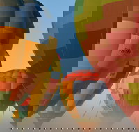 King Valley Balloon Festival - Stays Accommodation