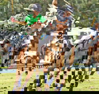 Land Rover Polo in the City - Stays Accommodation