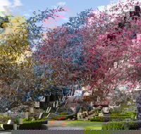 Leura Gardens Festival - Cancelled - Stayed