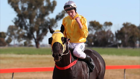 Lockhart Picnic Races - Stays Accommodation 1