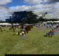 Majors Creek Festival - Stayed