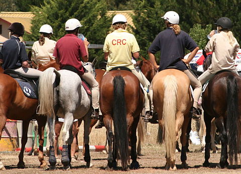Michelago Pony Club Gymkhana And Sporting Spectacular - Stays Accommodation 0