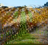 Miners Ridge Wine Tasting - Stayed