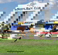 Moree Race Club TAB Race Day - Stayed