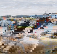 Mudgee Small Farm Field Days - Stays Accommodation