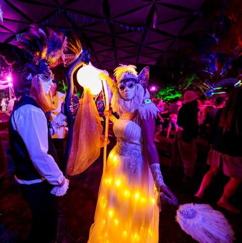 Mushroom Valley Festival - Stayed 1