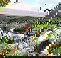 Nan Tien Health and Wellbeing Market - Stayed