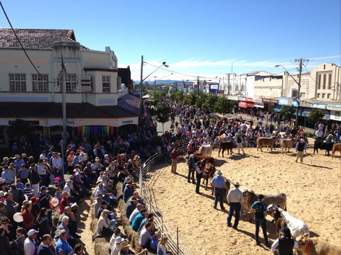 NCMC Casino Beef Week - Stayed 0