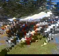 Palm Beach Market - Stayed