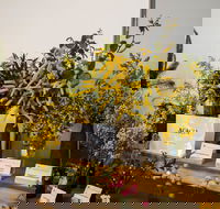 Pomonal Native Flower Show - Stays Accommodation