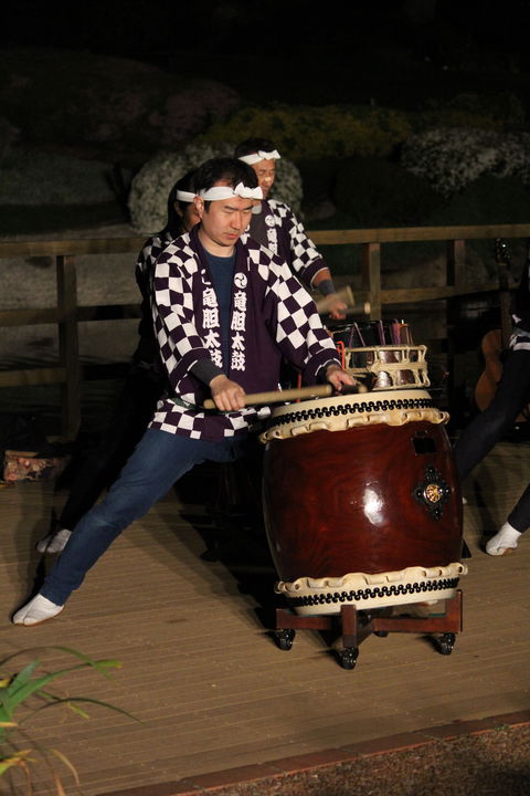 Sakura Matsuri  - Cherry Blossom Festival - In Doubt Due To Covid-19 - Stayed 1
