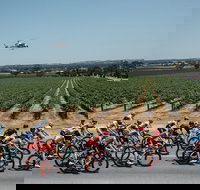 Santos Tour Down Under - Stayed