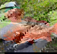 SCF Research and Sustainability Competition - Stayed