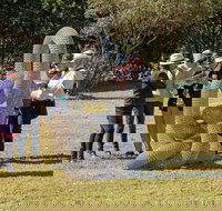 Sculpture for Clyde - Outdoor Exhibition - Stays Accommodation