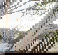 Sculptures in the Garden - Stays Accommodation