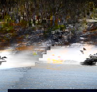 Southern 80 - Stayed