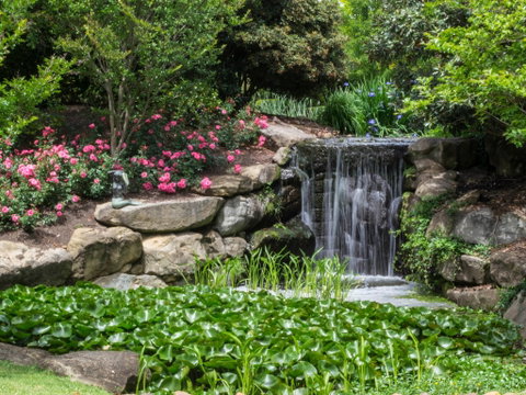 Spring Time At Hunter Valley Gardens - Stayed 1