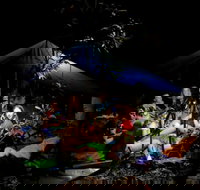 Summer  Family Nature Camp - Stays Accommodation