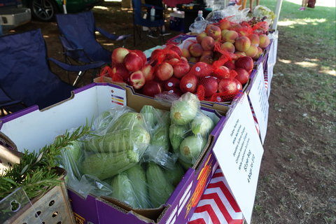 Swan Hill Farmers Market - Stayed 2