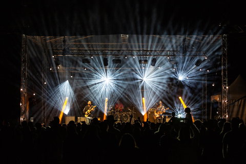 The Hidden Forest - Stayed 1