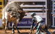 The 2020 Virtual Mount Isa Mines Rodeo - thumb 2