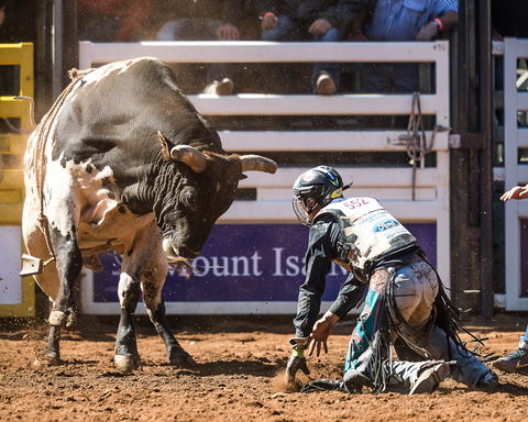 The 2020 Virtual Mount Isa Mines Rodeo - Stayed 2