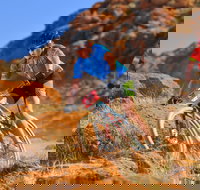 The Redback - Stayed