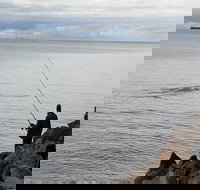 Whale Watching in Portland - Stayed