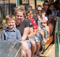 Willans Hill Miniature Railway Rides Open Days - Stayed