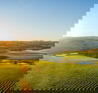 Wine and Food at Altitude - Stays Accommodation