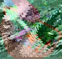 Orange Farmers Market - Stays Accommodation