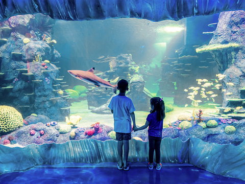 Sydney's Aquarium - Stayed 1