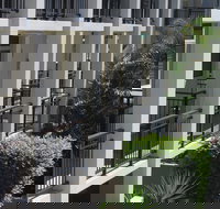 Paradiso Resort Kingscliff - Stayed