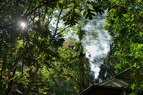 Narrows Escape Rainforest Retreat - Stayed 5