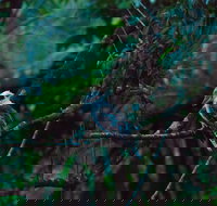 Broken River Mountain Resort - Stayed