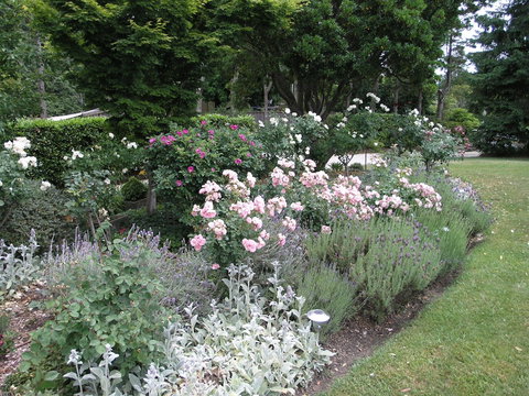 Silvermere - Stayed 4