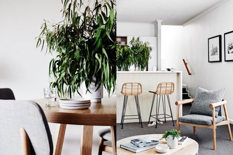 Cumberland Lorne Resort - Stayed 2