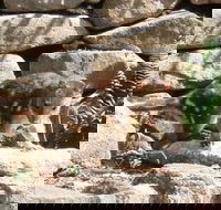 Jenolan Caves House - Stayed